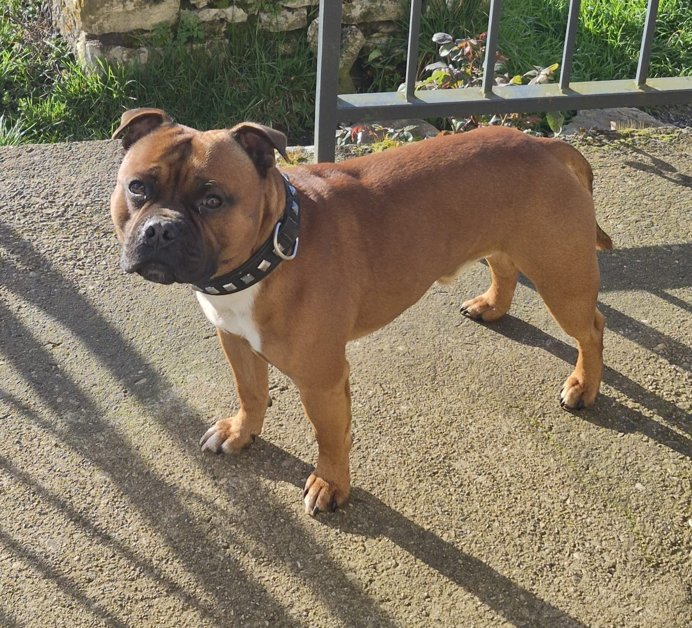 Vickings De La Furia Roja